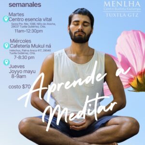 Clases de Meditación cerca de ti